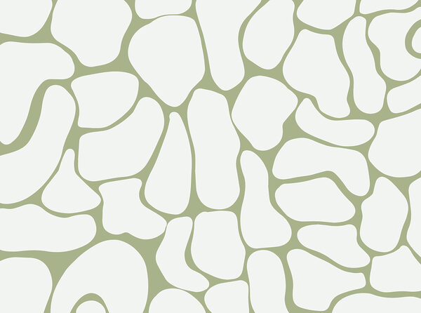 White and green pattern White and green pattern