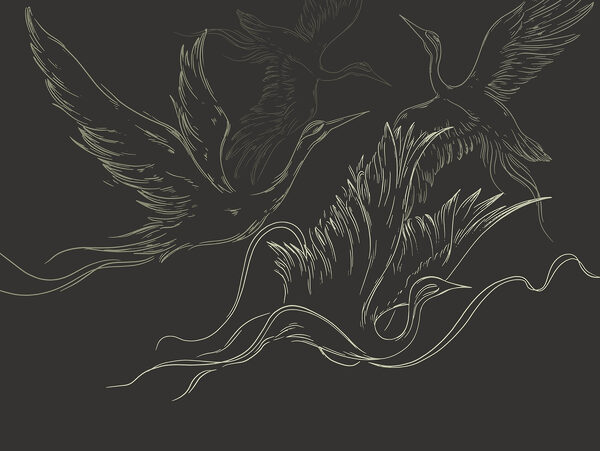 Drawing of birds flying Drawing of birds flying
