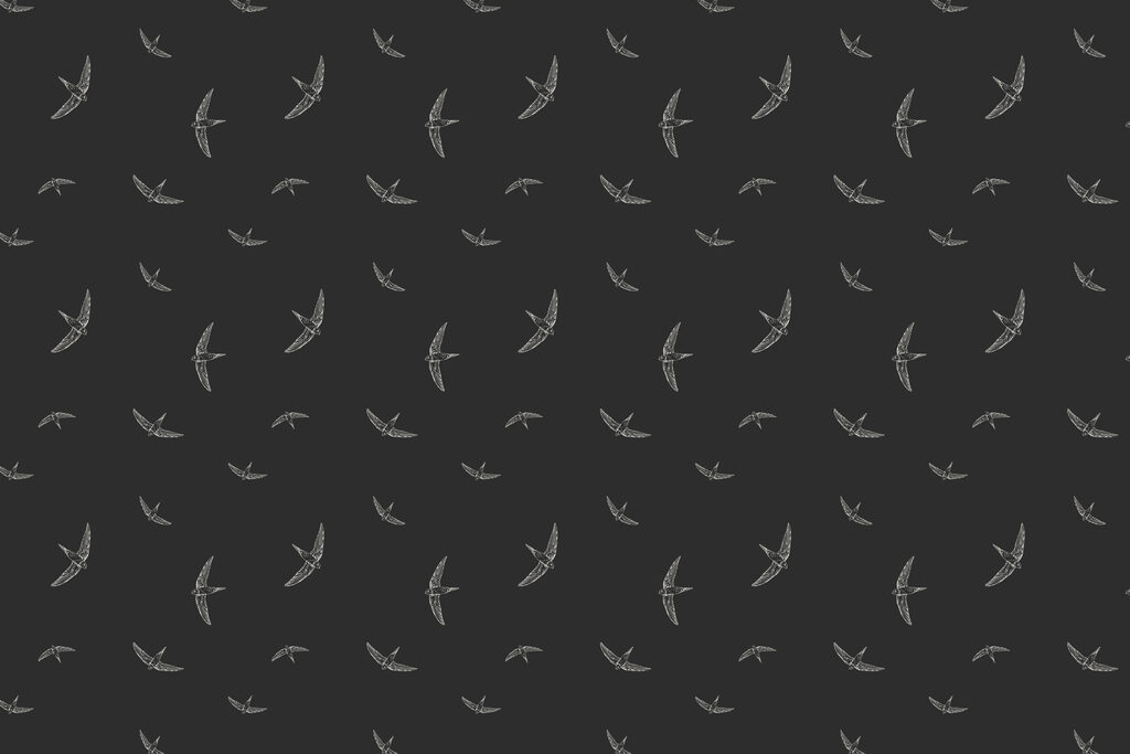 Pattern of white birds on a black background Pattern of white birds on a black background