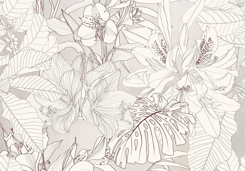 Nature's delicate floral patterns unfold w08385p 1024x717 - Nature's delicate floral patterns unfold