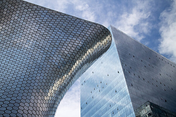Architectural design meets nature's inspiration Architectural design meets nature's inspiration