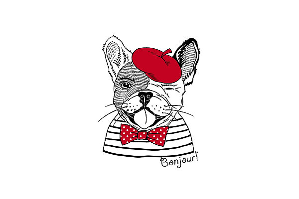 Dog wearing a hat and bow tie Dog wearing a hat and bow tie