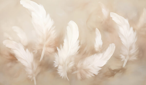 Group of white feathers Group of white feathers