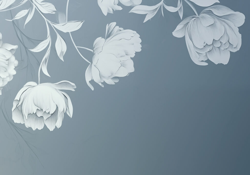 White flowers on a gray background White flowers on a gray background