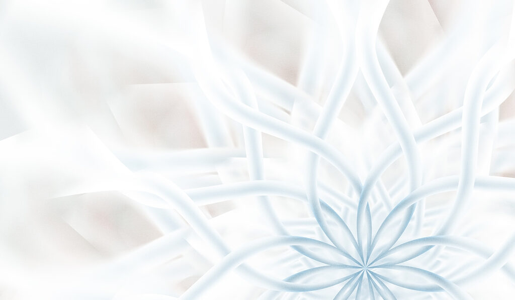 White and blue flower White and blue flower