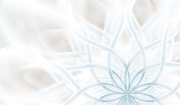 White and blue flower White and blue flower