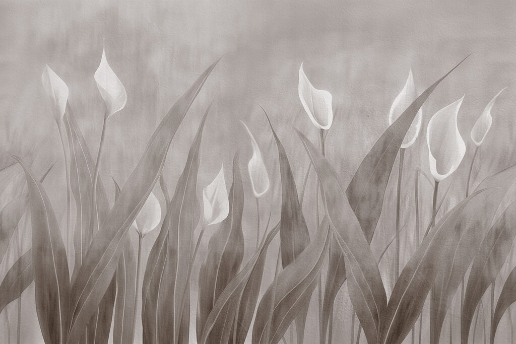 Soft blooms in muted elegance Soft blooms in muted elegance