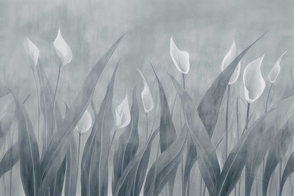 Soft petals in a tranquil landscape Soft petals in a tranquil landscape