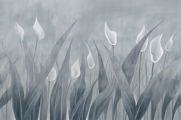 Soft petals in a tranquil landscape Soft petals in a tranquil landscape
