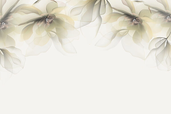 White and beige flowers White and beige flowers
