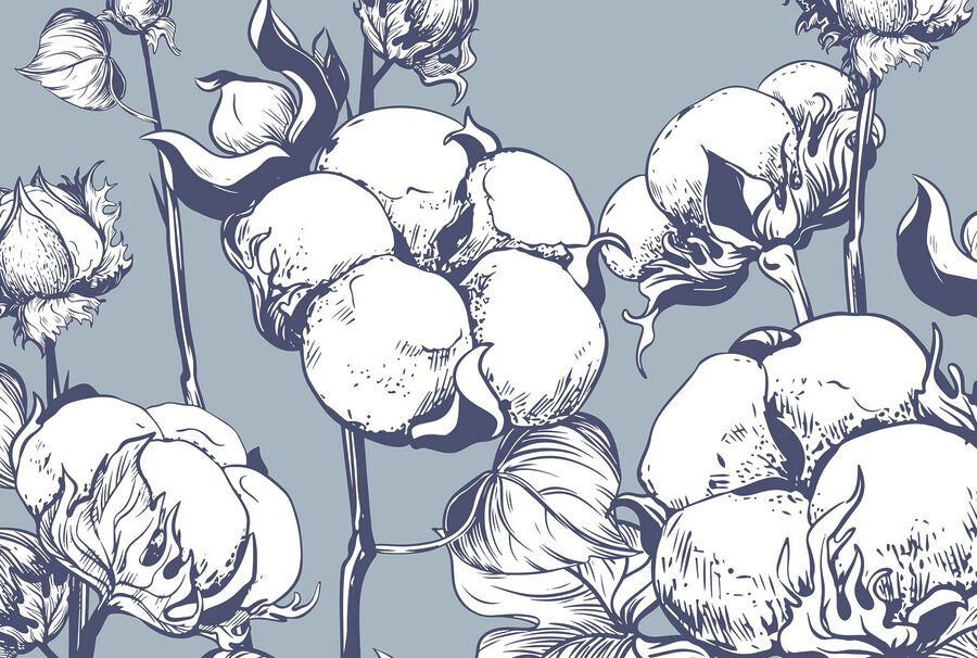 Wall murals Delicate cotton blooms on blue background - Image 3