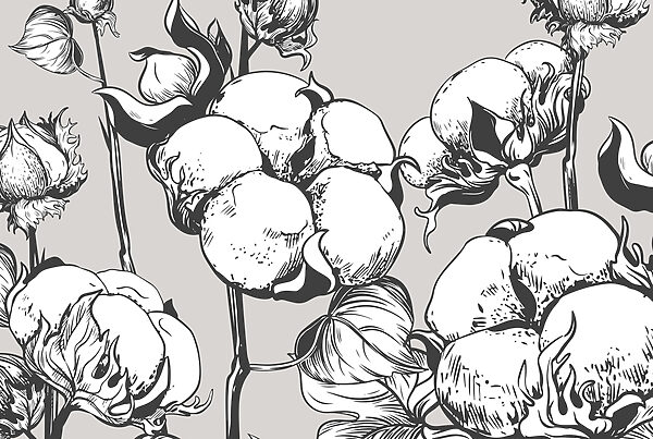 - Delicate cotton blooms in monochrome w02097v3p 600x403 - - Delicate cotton blooms in monochrome