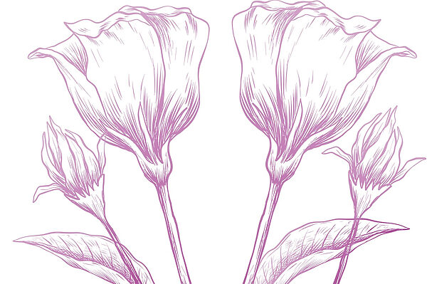 Delicate blooms in soft pastel hues Delicate blooms in soft pastel hues