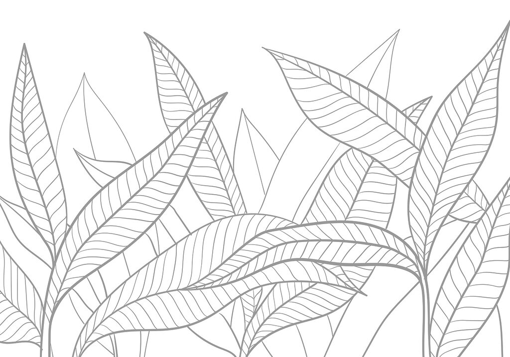 Line drawing of leaves Line drawing of leaves