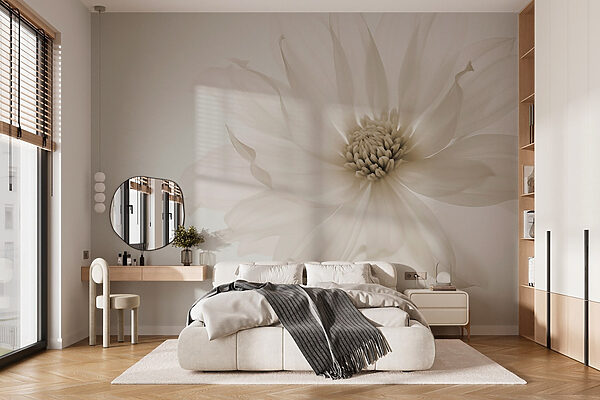 Delicate petals of pure elegance Delicate petals of pure elegance