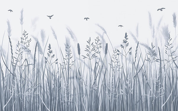 Field of grass with birds flying Field of grass with birds flying