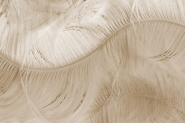 Natural patterns in soft tones Natural patterns in soft tones