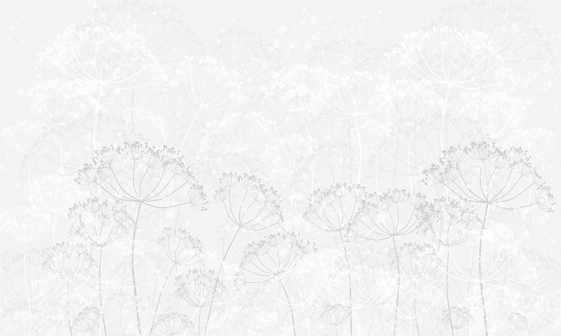 White background with flowers White background with flowers