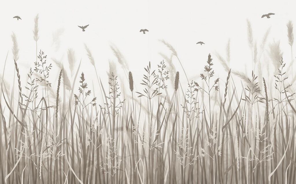 Field of grass with birds flying w02119p 1024x639 - Field of grass with birds flying - tegory