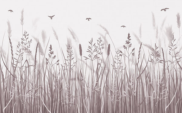 Field of grass with birds flying Field of grass with birds flying