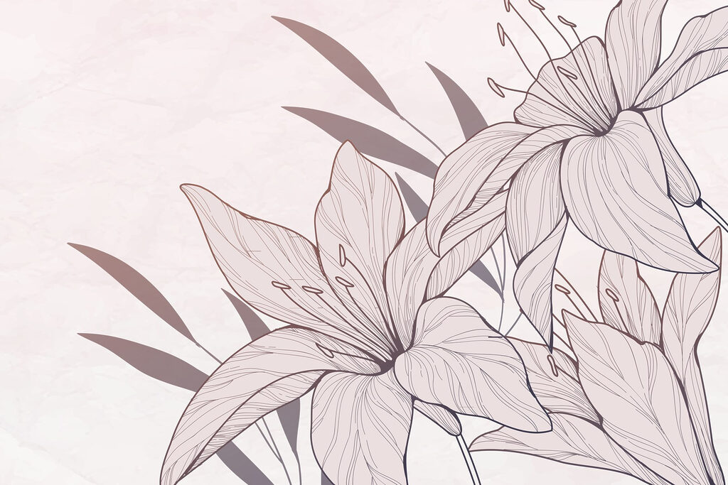 Drawing of flowers and leaves Drawing of flowers and leaves