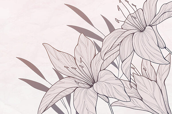Drawing of flowers and leaves Drawing of flowers and leaves
