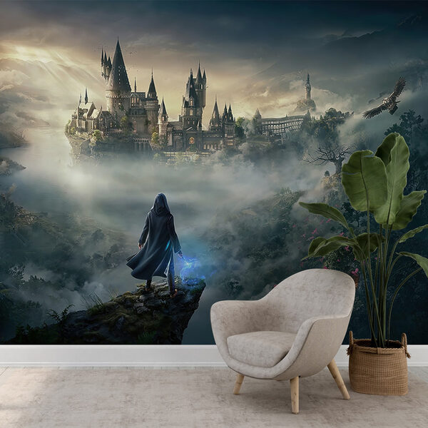 Person standing on a cliff looking at a castle Person standing on a cliff looking at a castle