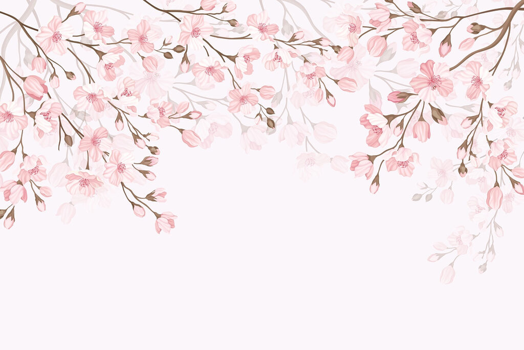 Pink flowers on a white background Pink flowers on a white background