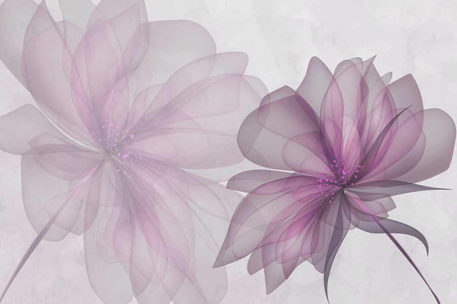 Wall murals Couple of purple flowers - Image 3