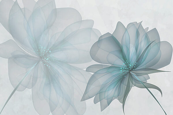 Couple of transparent flowers Couple of transparent flowers