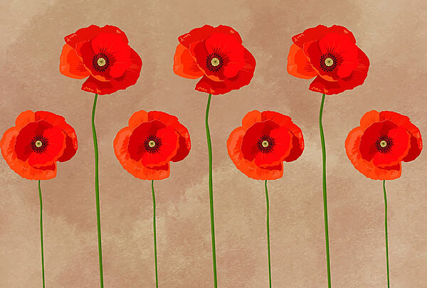 Group of red flowers Group of red flowers