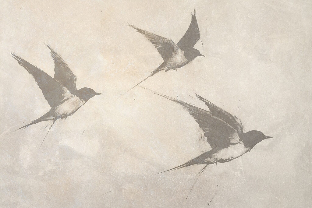 Group of birds flying Group of birds flying