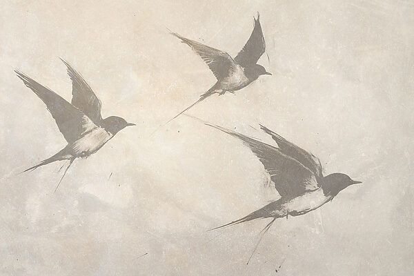Group of birds flying Group of birds flying