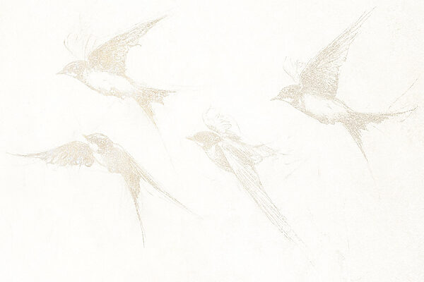 Group of birds flying Group of birds flying