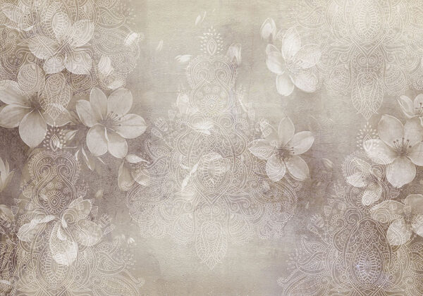 White flowers on a grey background White flowers on a grey background