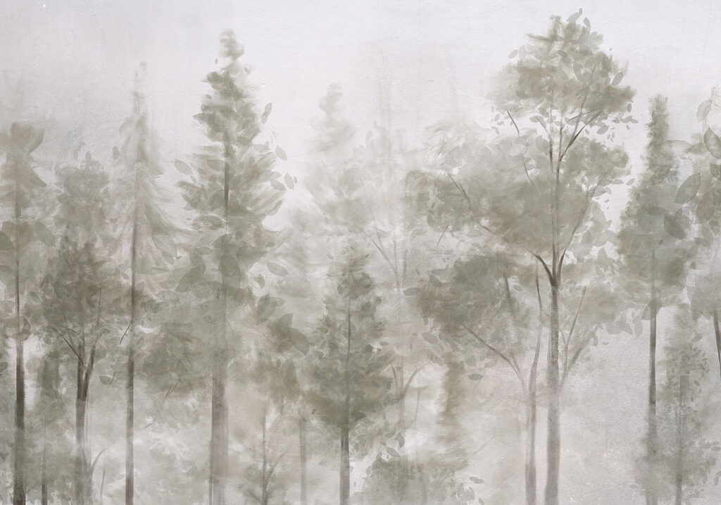 Group of trees in fog Group of trees in fog