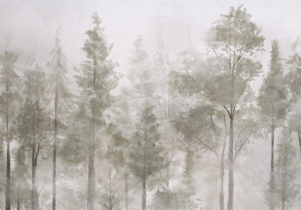Group of trees in fog Group of trees in fog