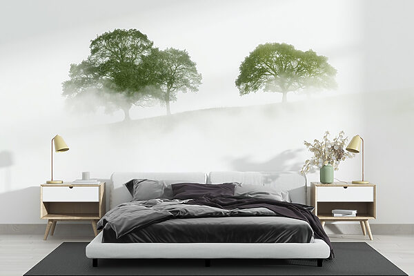 Trees in the fog Trees in the fog