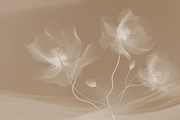 Delicate blooms in soft tones Delicate blooms in soft tones