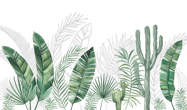 Group of green leaves and cactuses Group of green leaves and cactuses