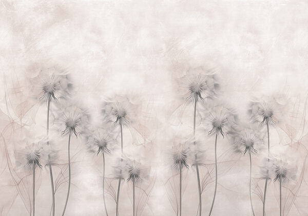 Group of dandelions on a white background Group of dandelions on a white background