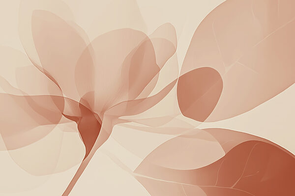 Soft petals in gentle hues. Soft petals in gentle hues.