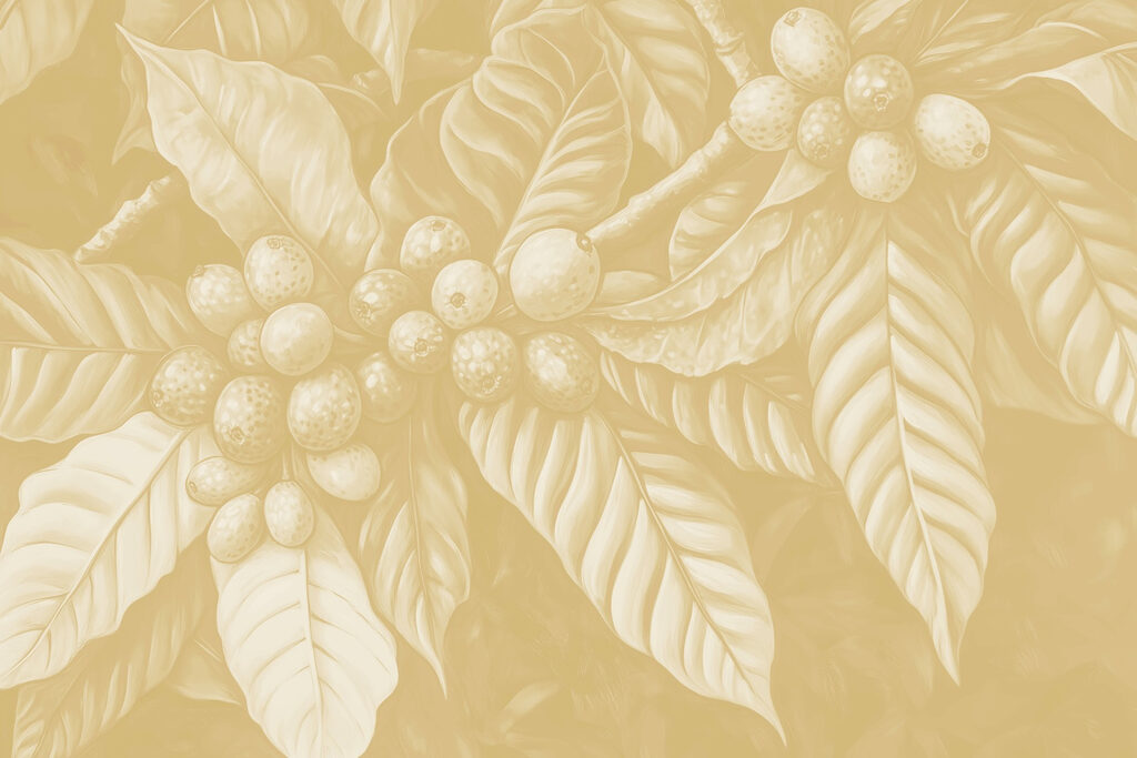 Lush foliage with round fruit clusters Lush foliage with round fruit clusters