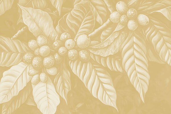 Lush foliage with round fruit clusters Lush foliage with round fruit clusters