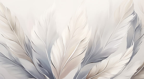 Group of white and grey feathers Group of white and grey feathers