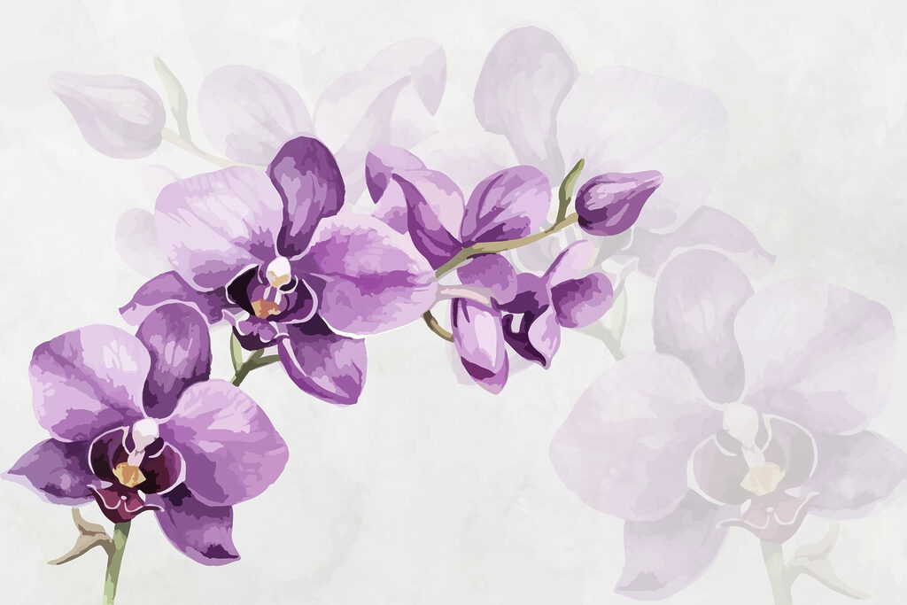 Purple flowers on a branch Purple flowers on a branch