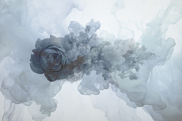 Flower in water Flower in water