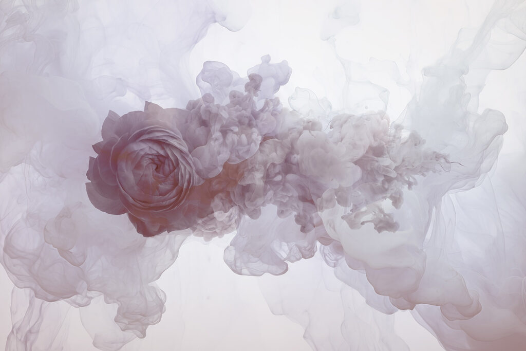 Flower in water Flower in water