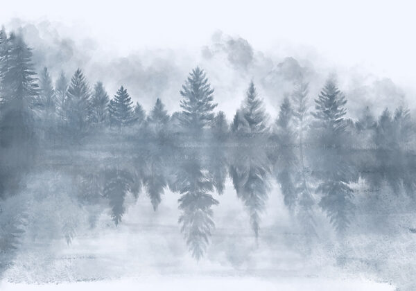 Foggy forest with trees reflected in water Foggy forest with trees reflected in water