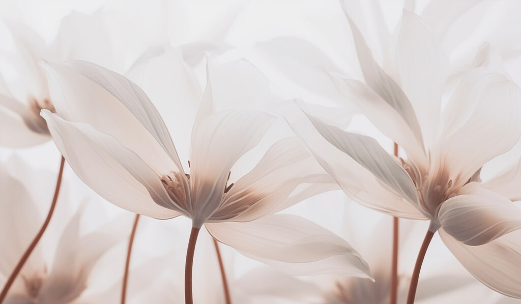 Delicate petals in soft hues Delicate petals in soft hues